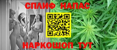 тгк Будённовск