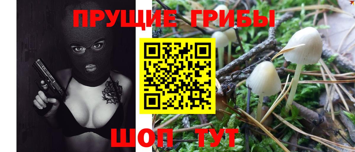 Псилоцибиновые грибы мицелий  Вход с VPN  Улан-Удэ 